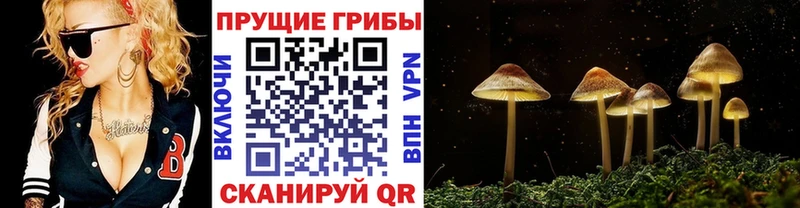 Галлюциногенные грибы Magic Shrooms  МЕГА tor  площадка наркотические препараты  Лаишево 
